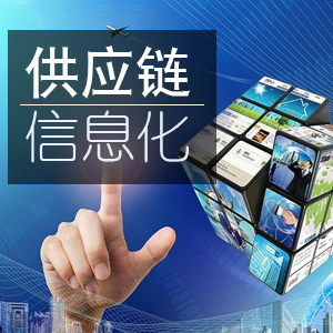 供应链管理核心与战略 供应链管理核心与战略