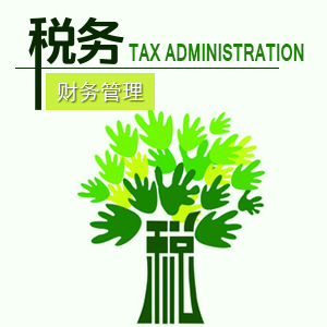 税务管理与筹划 税务管理与筹划