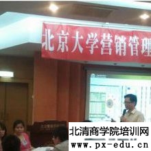 北大营销管理沙盘模拟 北大营销管理沙盘模拟