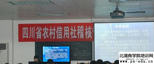 小农贷款服务问题探讨-罗一行老师