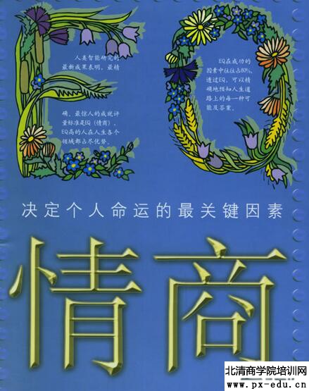 于际敬:清华大学:《压力和情商管理》 于际敬:清华大学:《压力和情商管理》