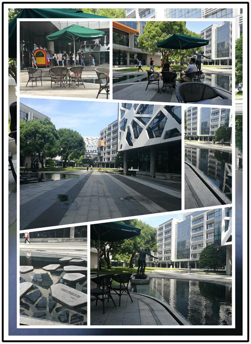 阿里巴巴游学考察随笔—当阿里土话遇到外国友人 阿里巴巴游学考察随笔—当阿里土话遇到外国友人