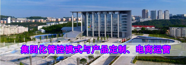 参观考察泸州老窖-学习泸州老窖集团化管控模式与产品定制、电商运营 参观考察泸州老窖-学习泸州老窖集团化管控模式与产品定制、电商运营