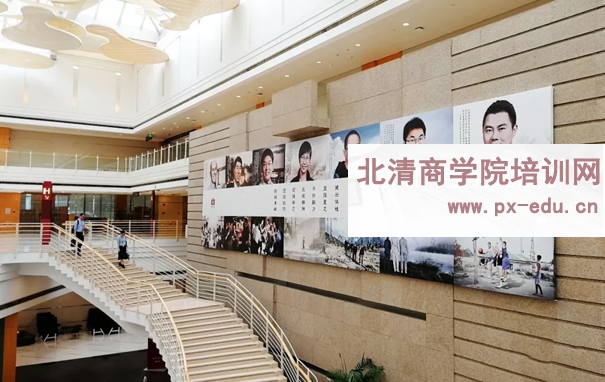 日本企业家对标中国标杆企业-走进华为、比亚迪、大疆、腾讯参观考察-感受中国创新力量 日本企业家对标中国标杆企业-走进华为、比亚迪、大疆、腾讯参观考察-感受中国创新力量