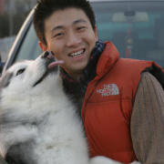 杨泓